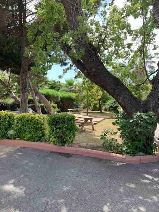 Appartement Cosy Confort Parking Clim Wifi Linge Acces Piscine Non Inclus Canet-en-Roussillon Extérieur photo