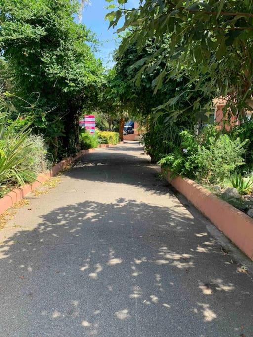 Appartement Cosy Confort Parking Clim Wifi Linge Acces Piscine Non Inclus Canet-en-Roussillon Extérieur photo